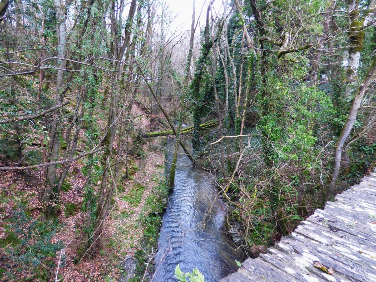 The Mill Cottage Llechryd Luaran gambar